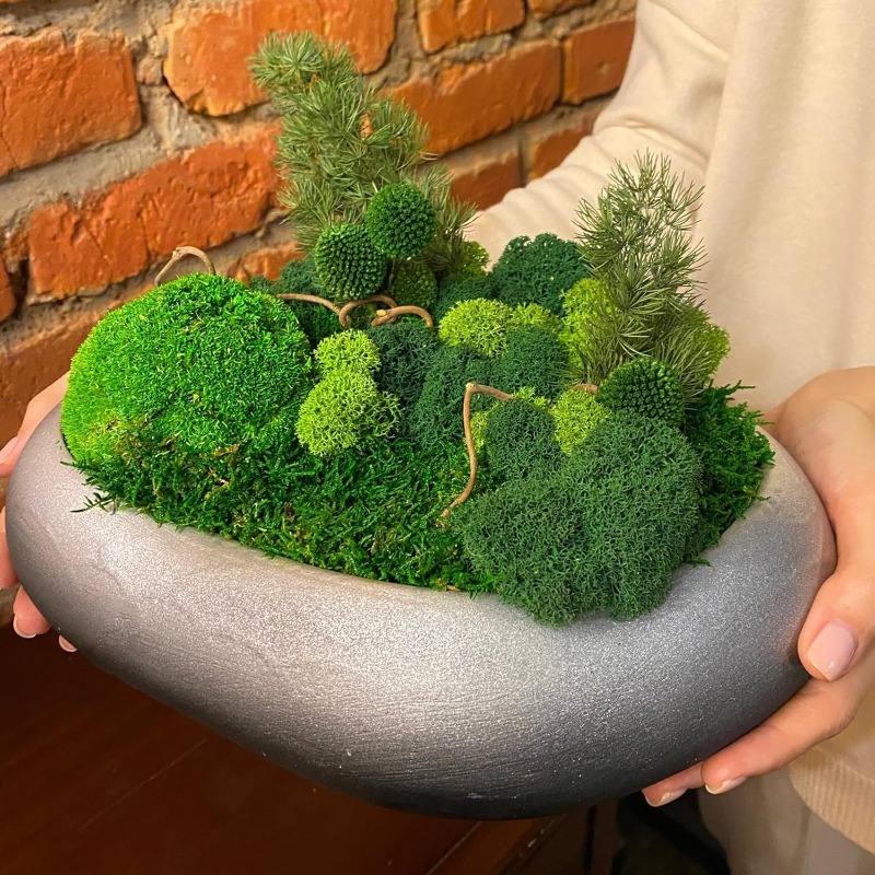 Artificial Green Plants Eterna - Sphagnum Moss Dry recension och pris