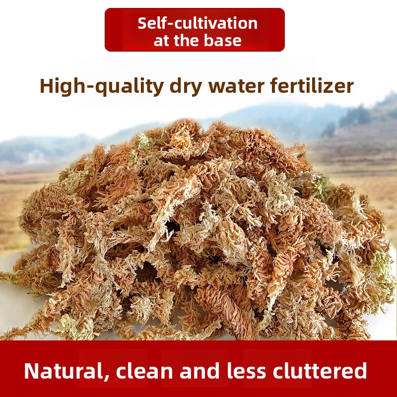 Grade A Dried Sphagnum Moss, N - Sphagnum Moss Dry recension och pris
