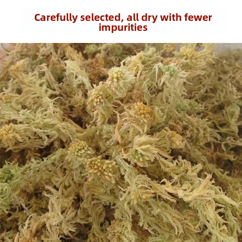 Grade A Dried Sphagnum Moss, N - Sphagnum Moss Dry recension och pris