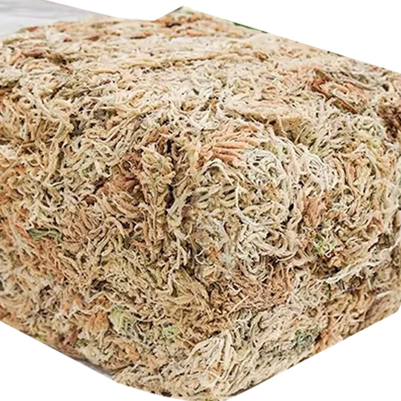 Reptile Terrarium Sphagnum Mos - Sphagnum Moss Dry recension och pris