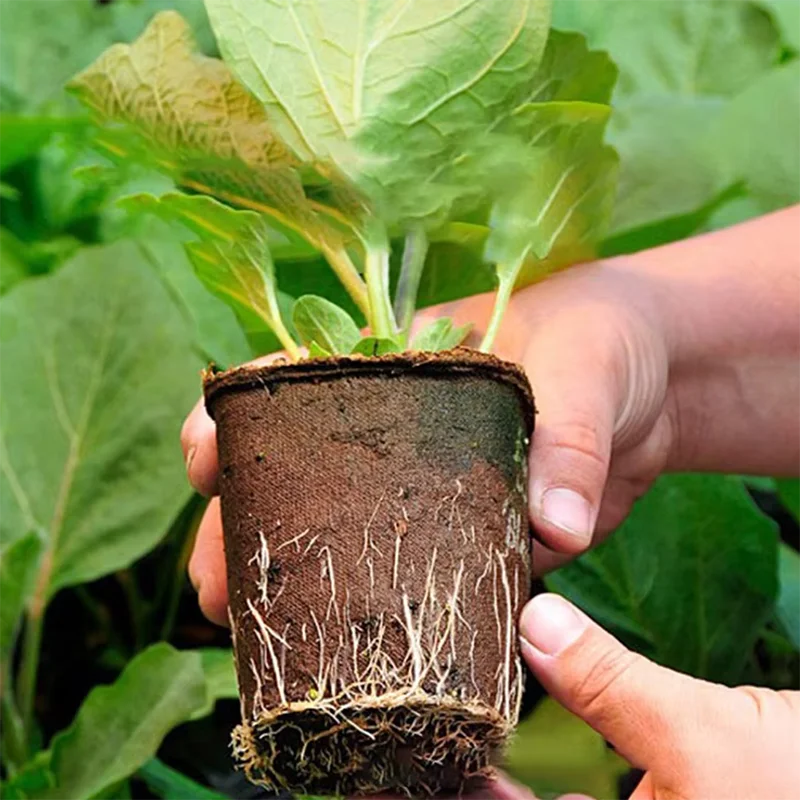 50 Pcs  Garden Round Peat Pots - Peat Pellet Tray recension och pris