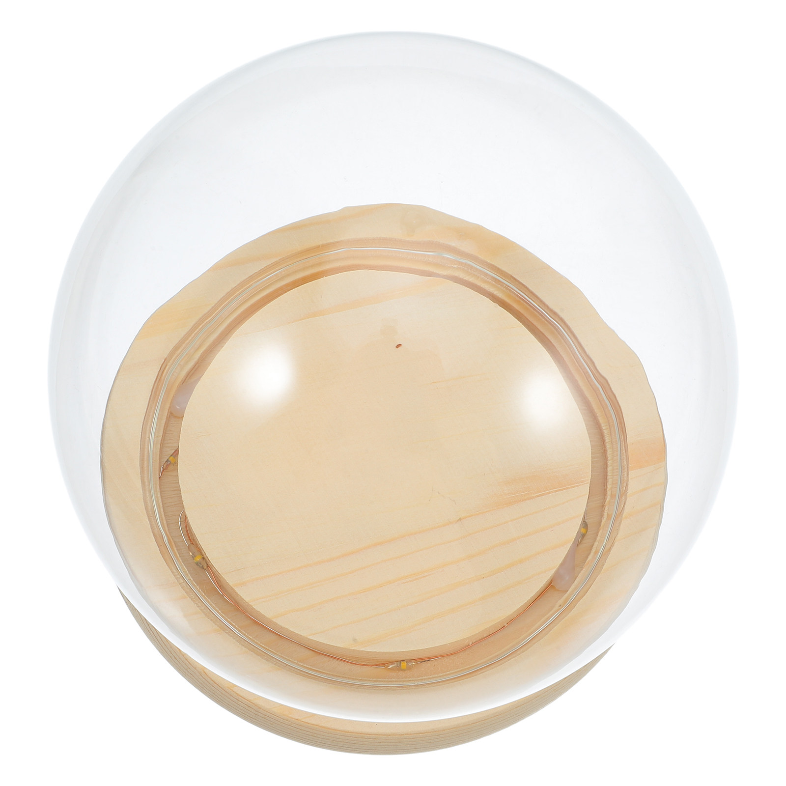 Dried Flower Glass Dome Displa - Plastic Dome Clear recension och pris