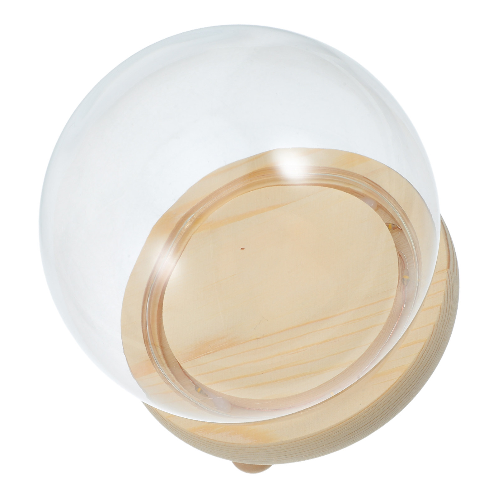Dried Flower Glass Dome Displa - Plastic Dome Clear recension och pris