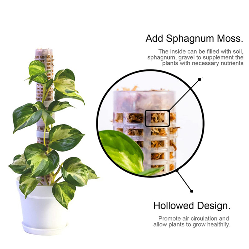 Plastics Moss Pole Plastics St - Sphagnum Moss Dry recension och pris